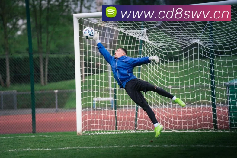 星空体育在线登录网页发展历程